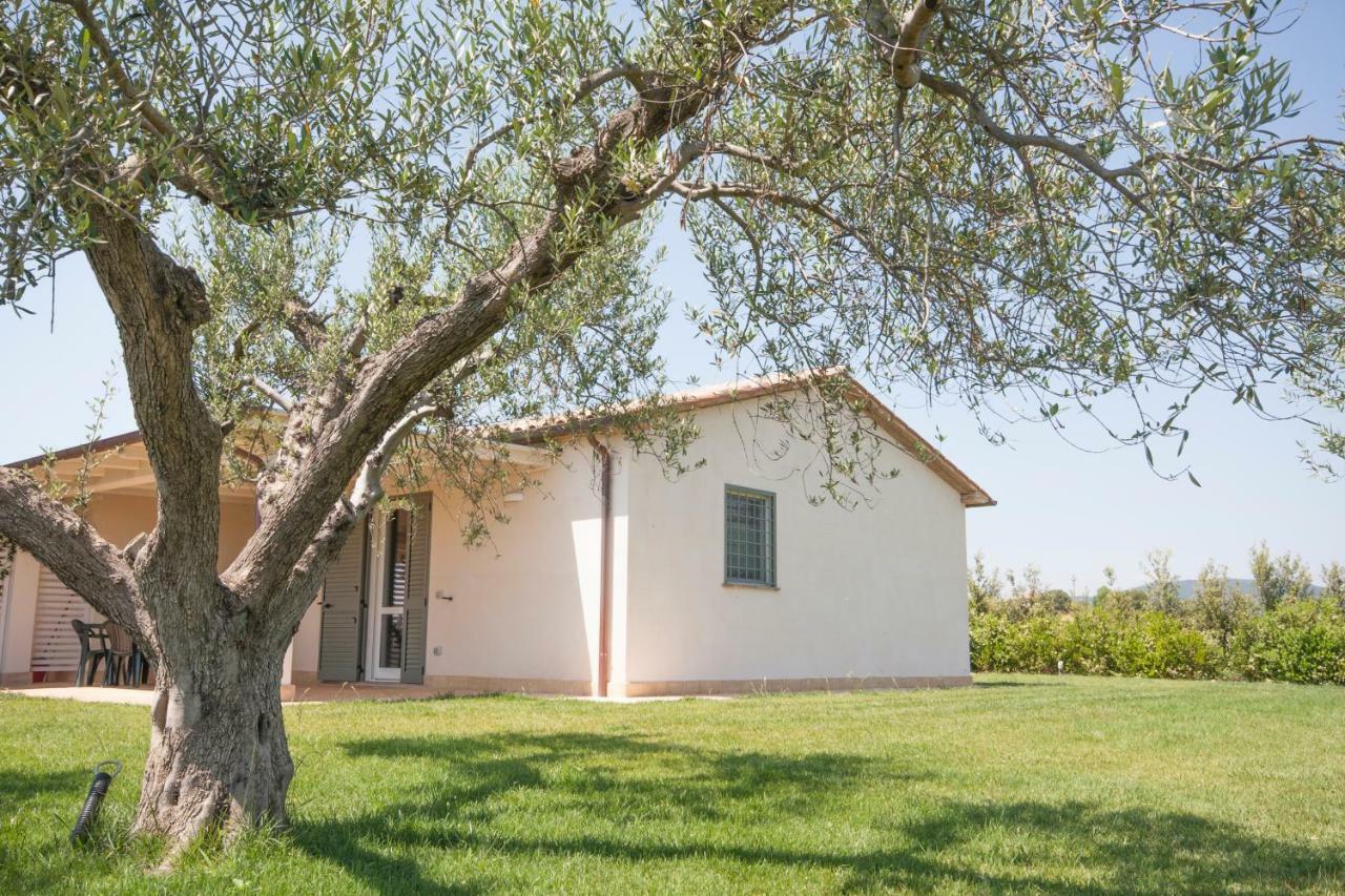 Agriturismo Il Mirto เปชชาโรมานา ภายนอก รูปภาพ