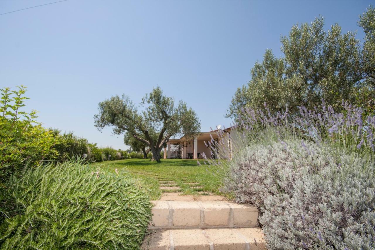 Agriturismo Il Mirto เปชชาโรมานา ภายนอก รูปภาพ