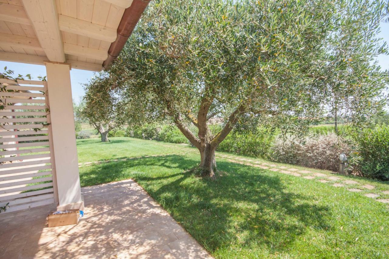 Agriturismo Il Mirto เปชชาโรมานา ห้อง รูปภาพ